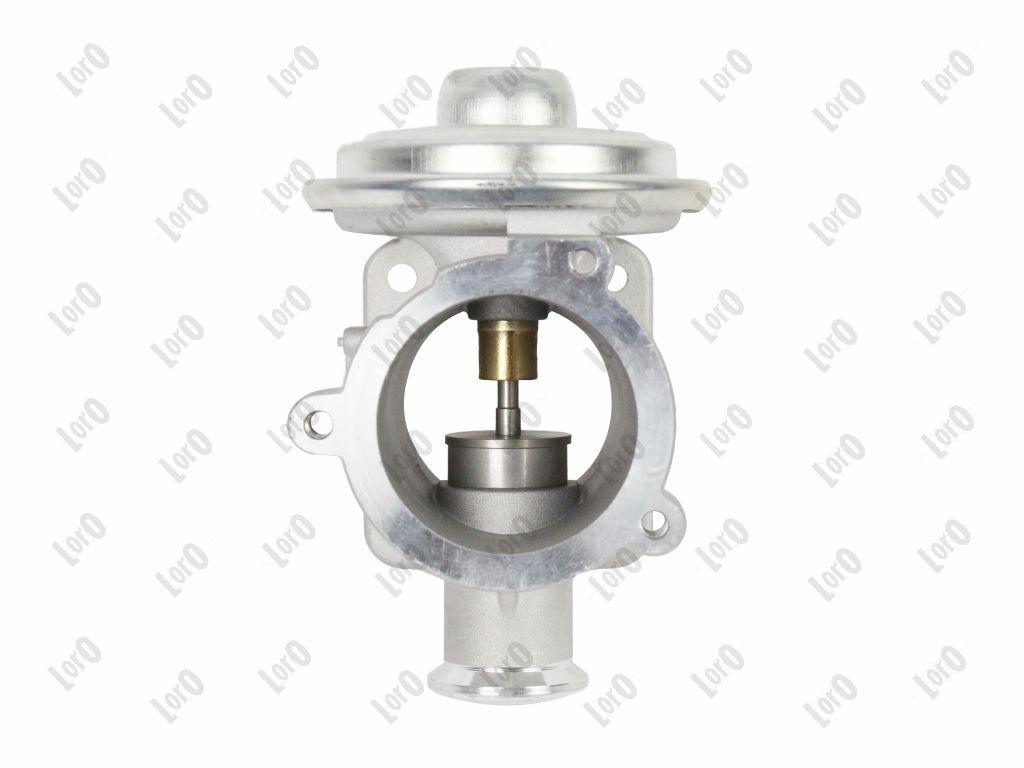 EGR Valve-5