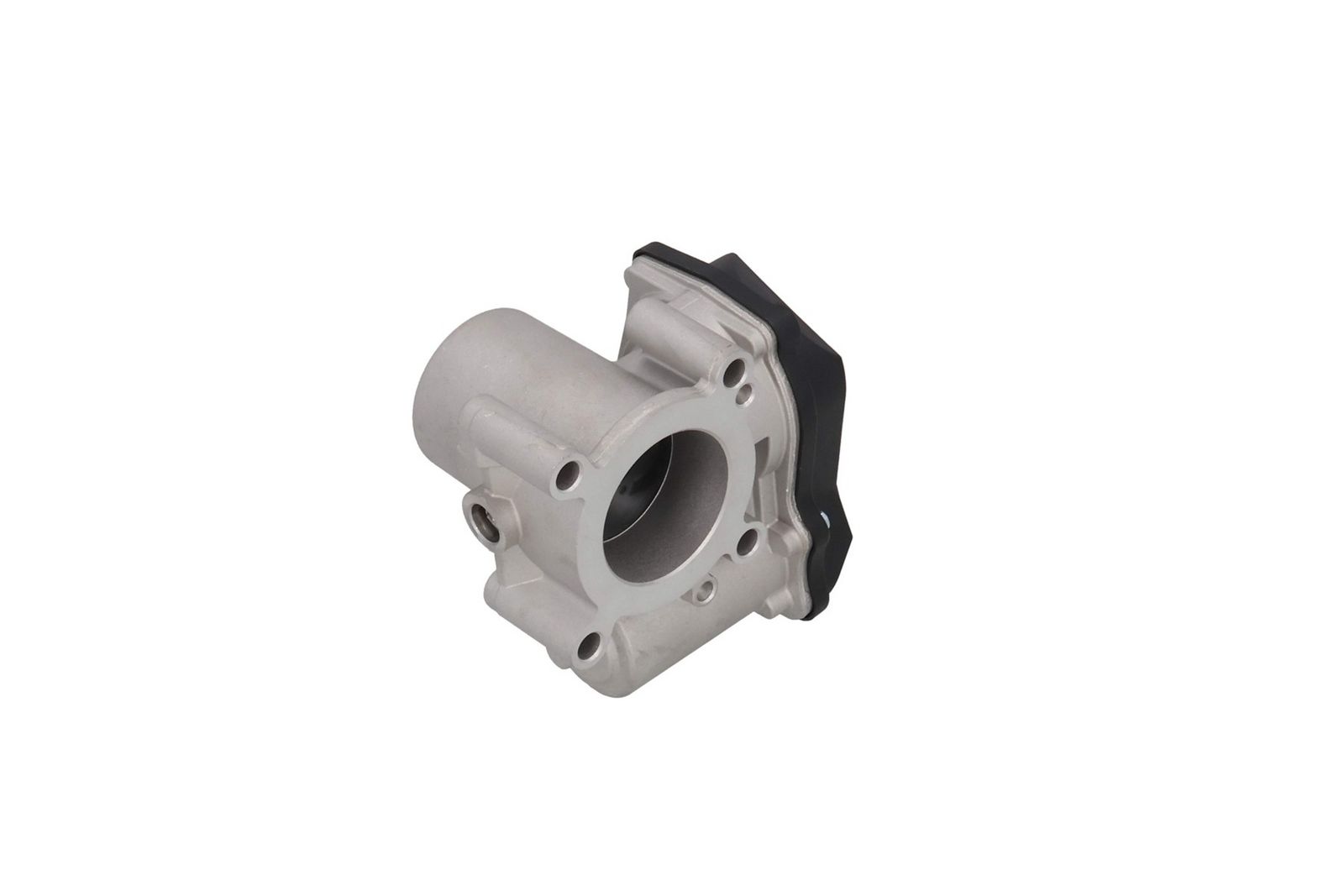 Throttle Body-2