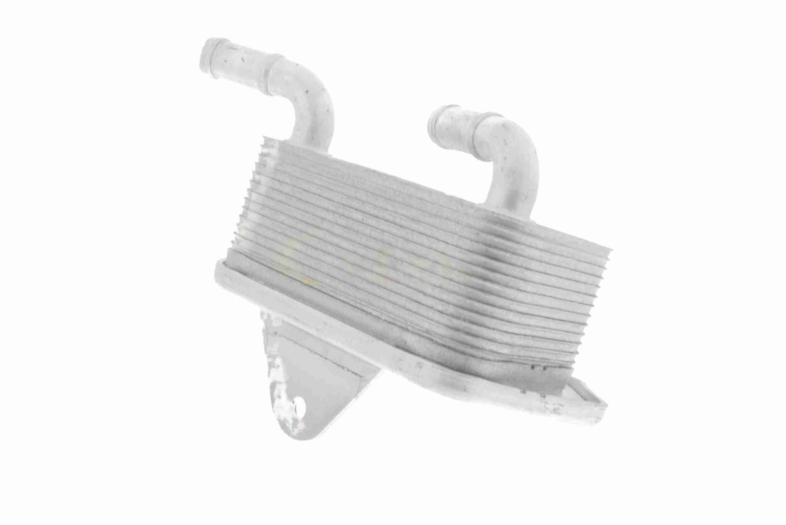 Oil Cooler, engine oil-12