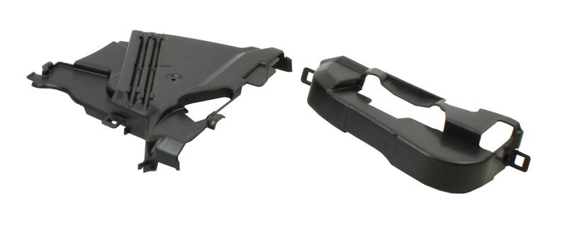 dangtelis, pavaros diržas