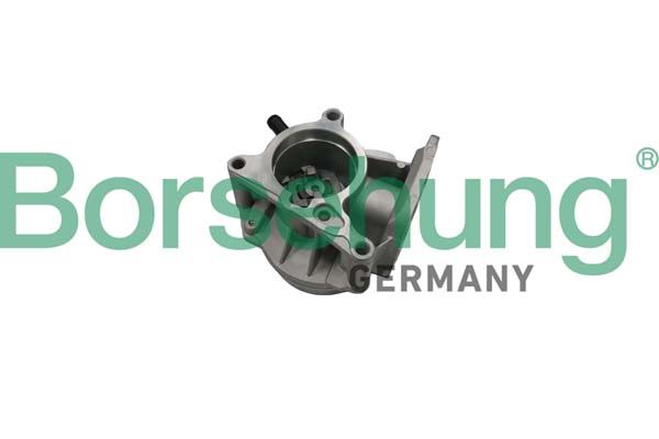 BORSEHUNG B18666 Vacuum pump, braking system
