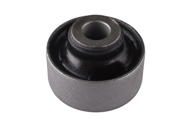 Mounting, differential-1