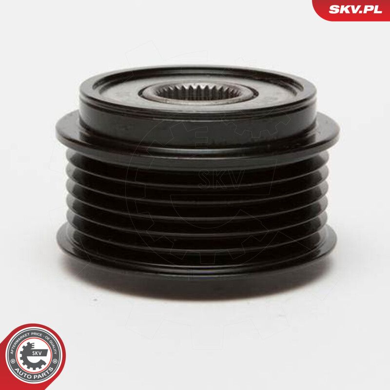 Alternator Freewheel Clutch-2