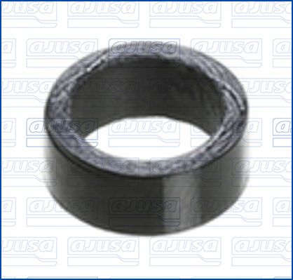 Seal Ring, injector