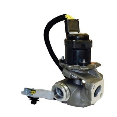MAGNETI MARELLI 571822112031 Egr valve