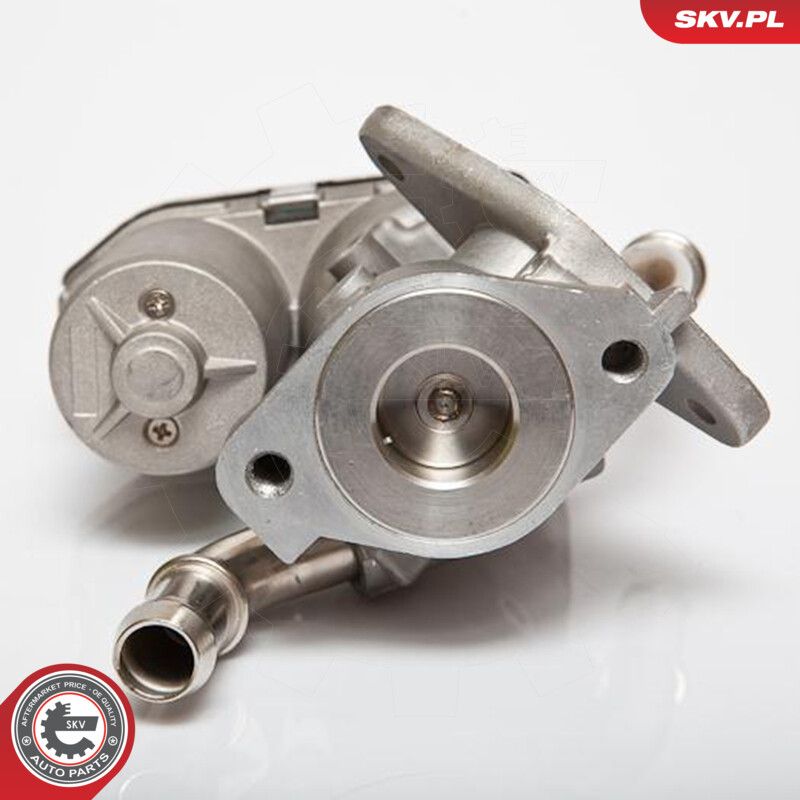 EGR Valve-2