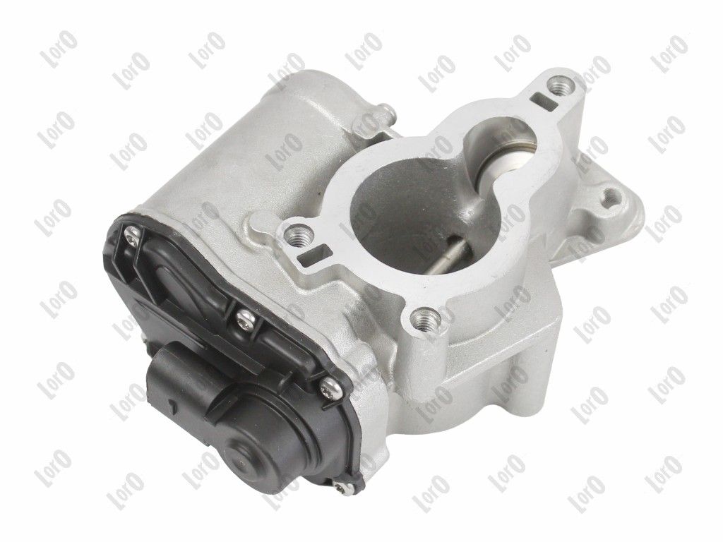 EGR Valve-1
