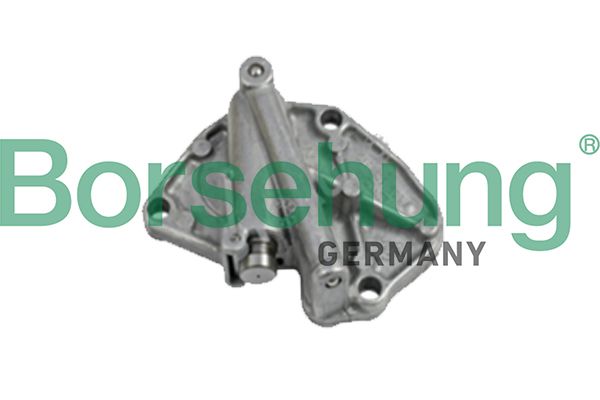 BORSEHUNG B1T001 Tensioner, timing chain