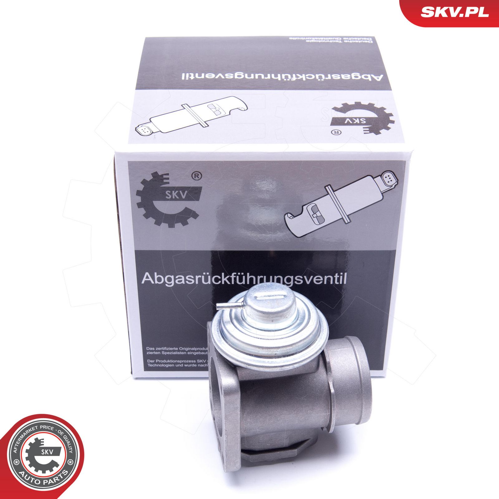 EGR Valve-4
