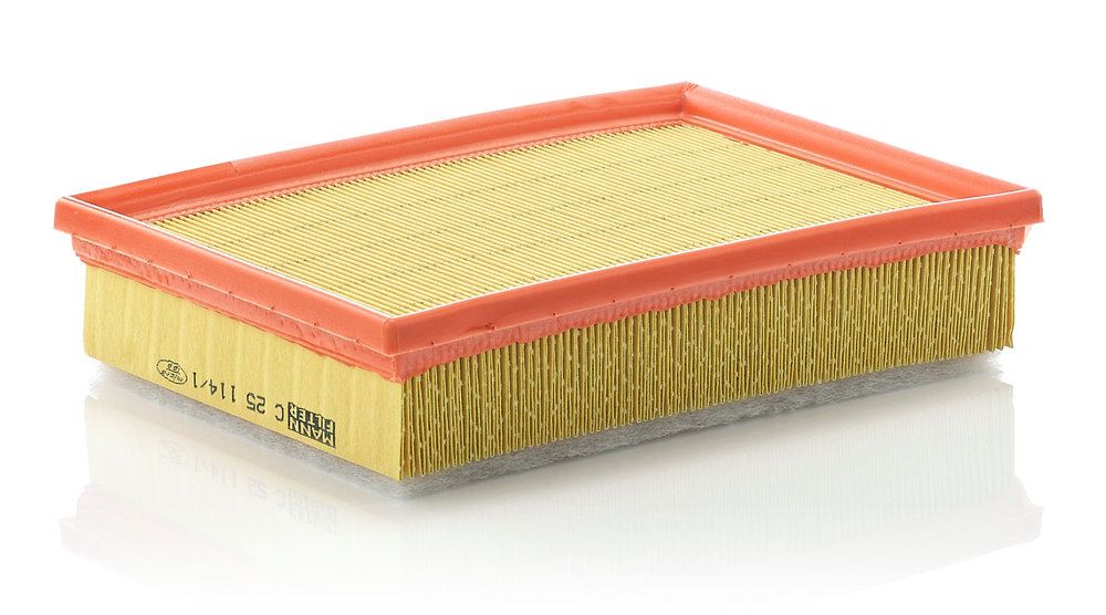 MANN-FILTER C 25 114/1 Air filter