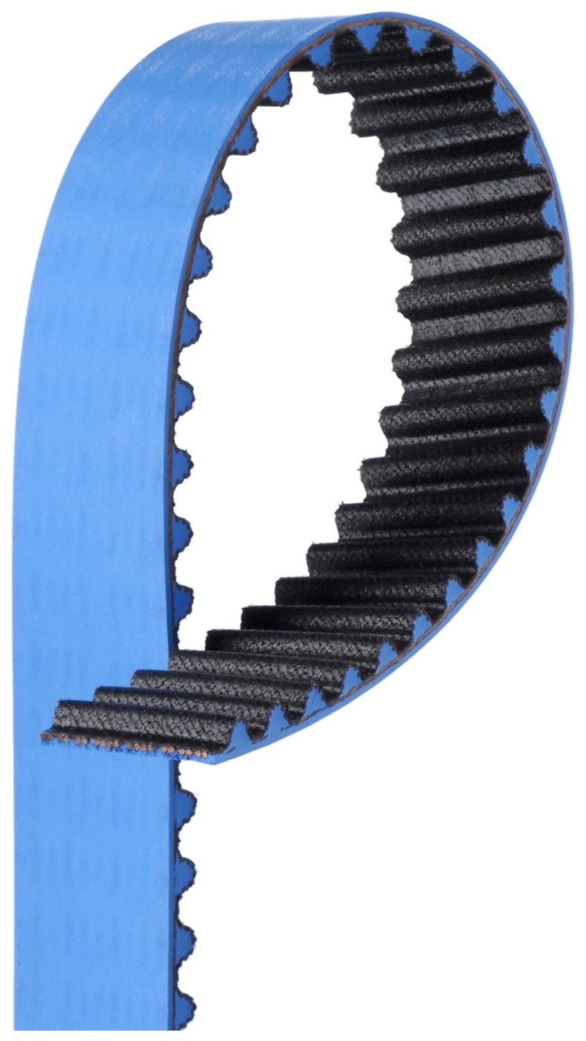Timing Belt-1