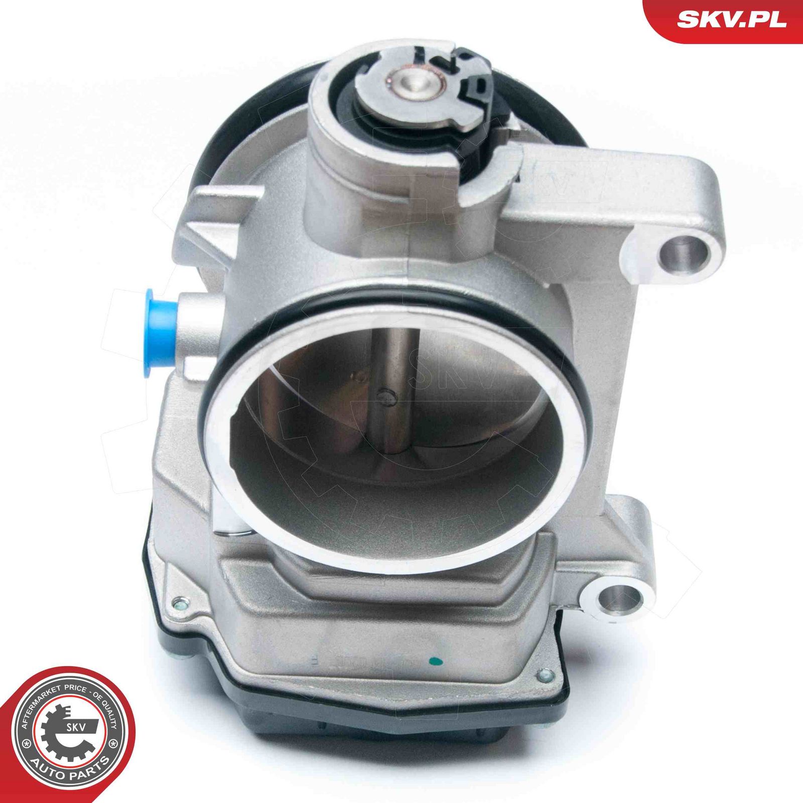 Throttle Body-1