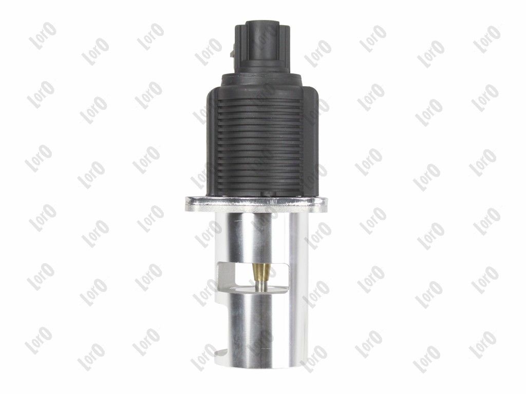 EGR Valve-3