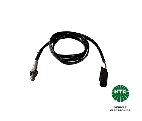 Oxygen Sensor-1