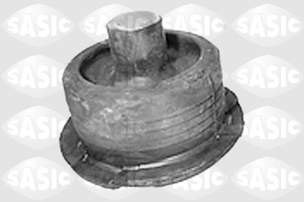 SASIC 9001663 Bushing, axle beam