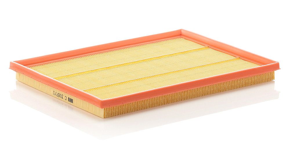 MANN-FILTER C 3167/1 Air filter