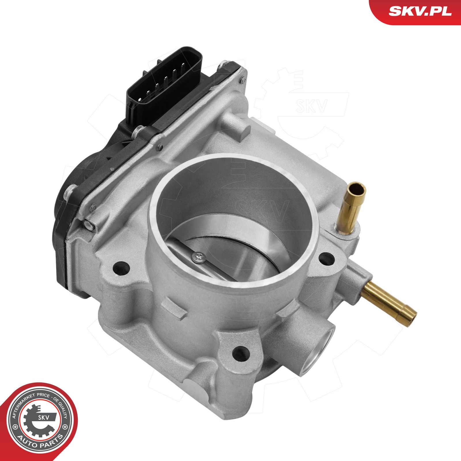 ESEN SKV 12SKV213 Throttle body