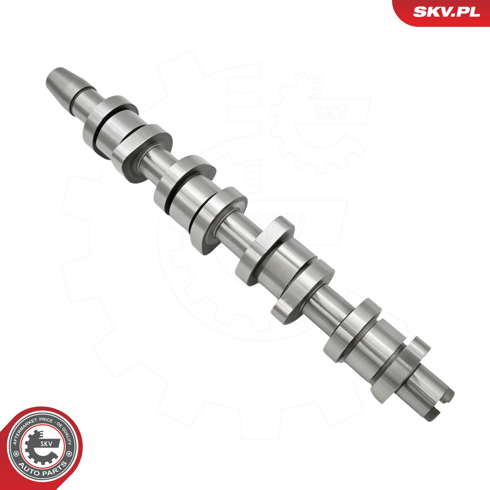 Camshaft Kit-1