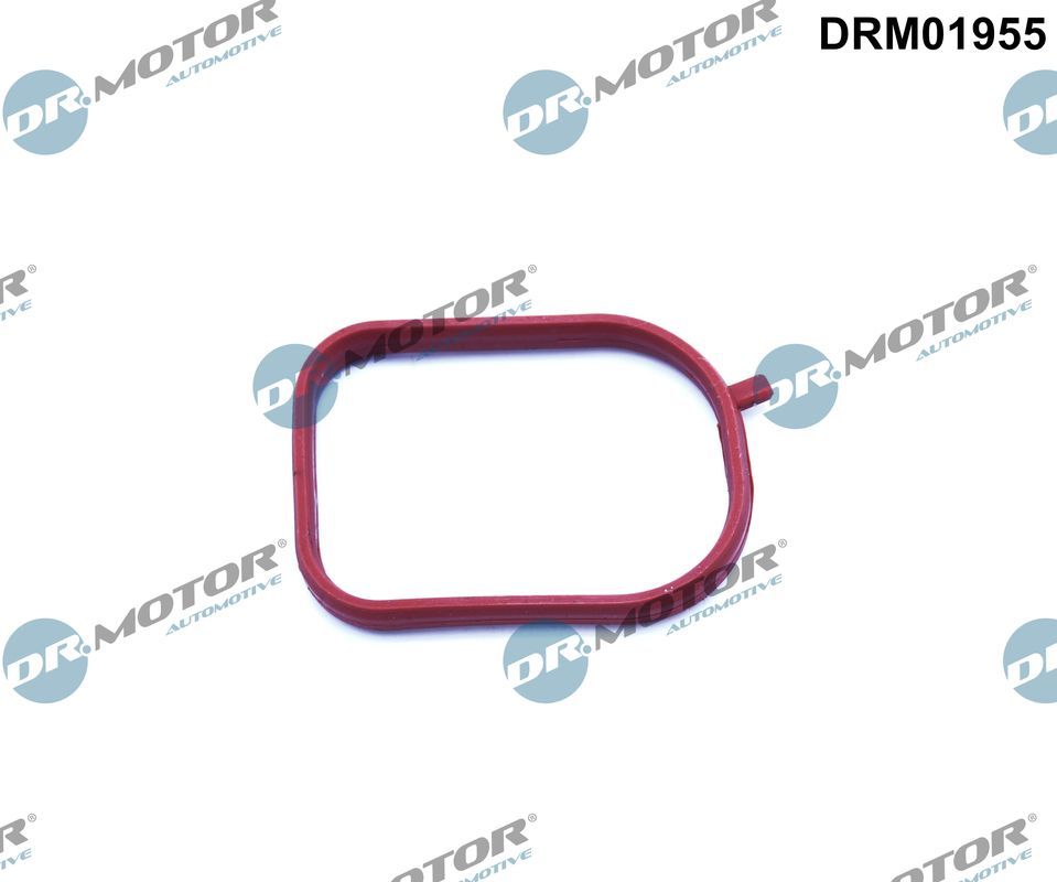 Gasket, thermostat housing