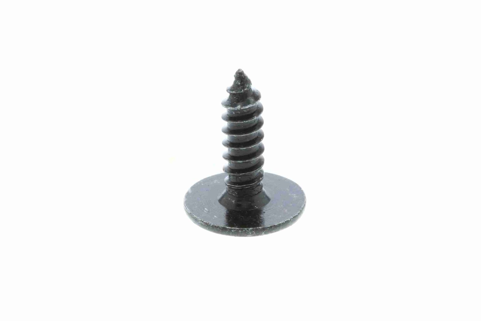 Screw-7