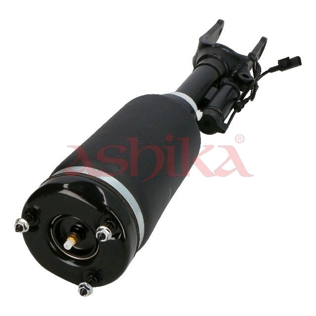 Air Suspension Strut-1