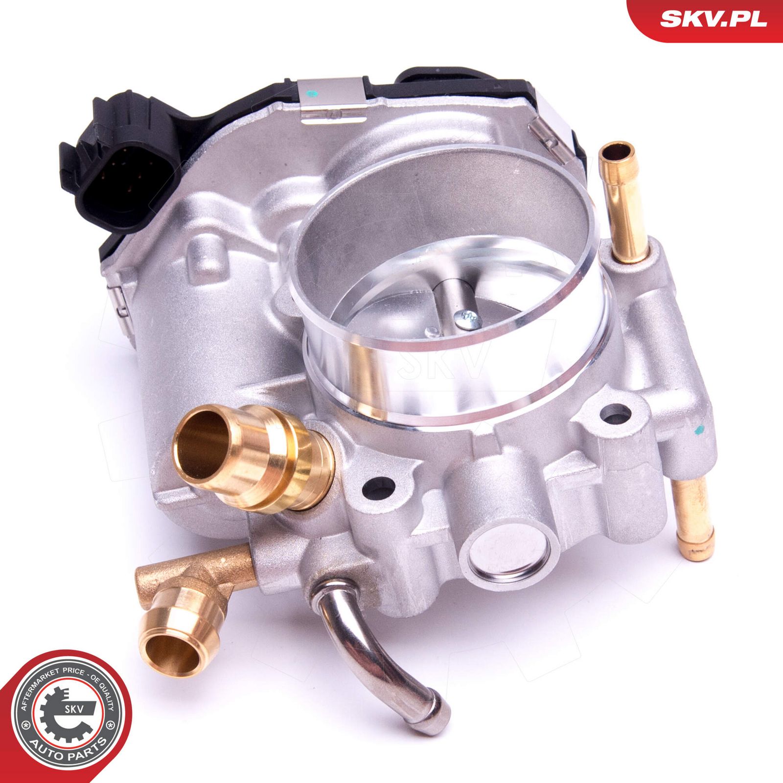 Throttle Body-2