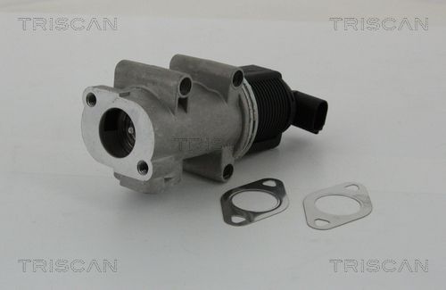 TRISCAN 8813 10005 Egr valve