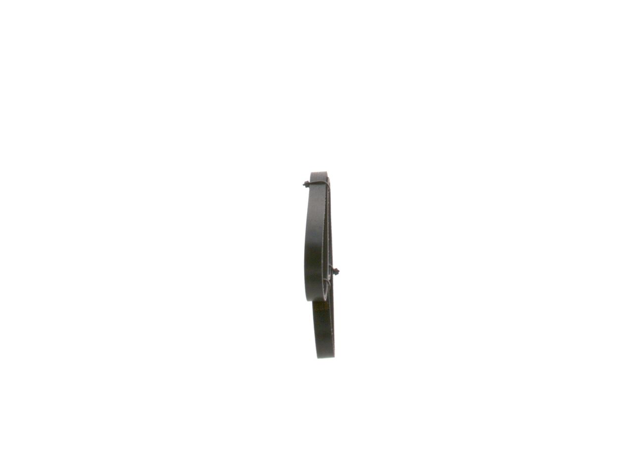 V-ribbed Belt-1