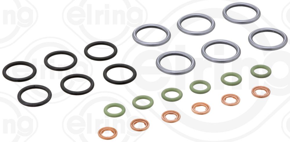 Seal Ring Set, injector nozzle-1