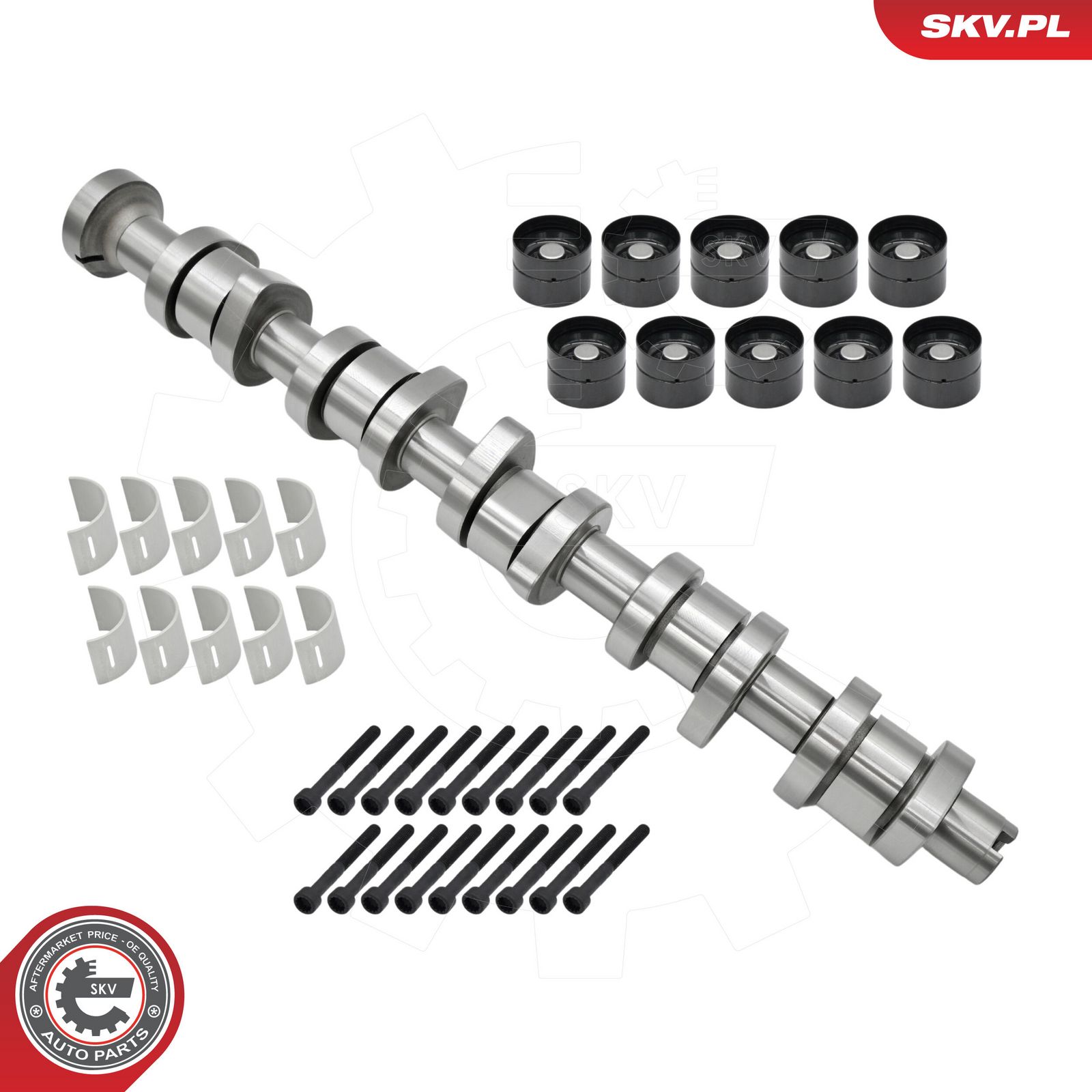 ESEN SKV 80SKV305 Camshaft kit