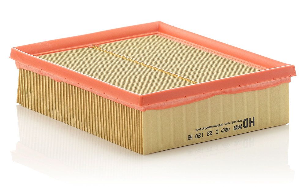 MANN-FILTER C 22 120 Air filter