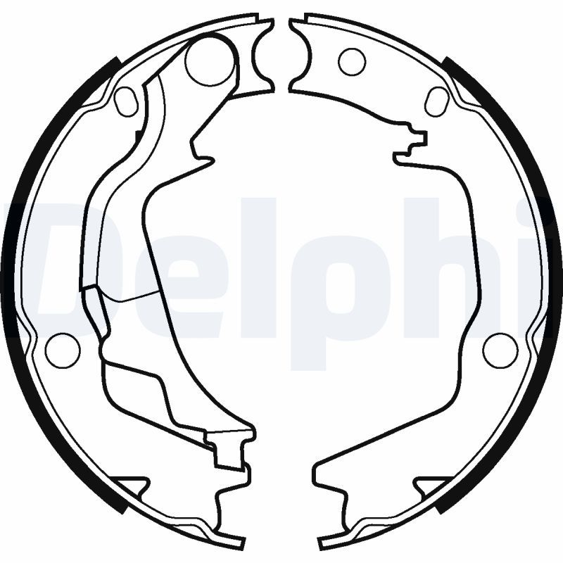 DELPHI LS2042 Brake shoe set, parking brake