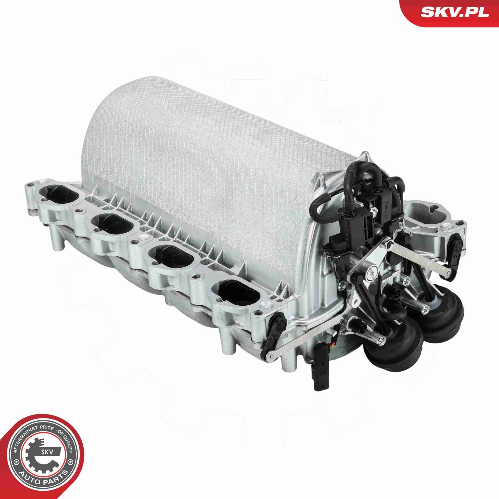 ESEN SKV 49SKV107 Intake manifold module