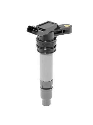 BORGWARNER (BERU) ZSE209 Ignition coil