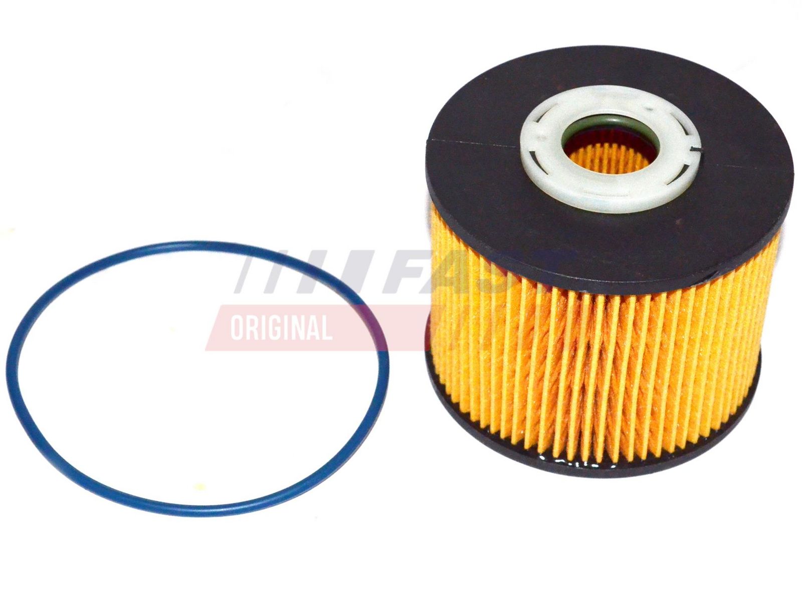 FAST FT39077 Fuel filter