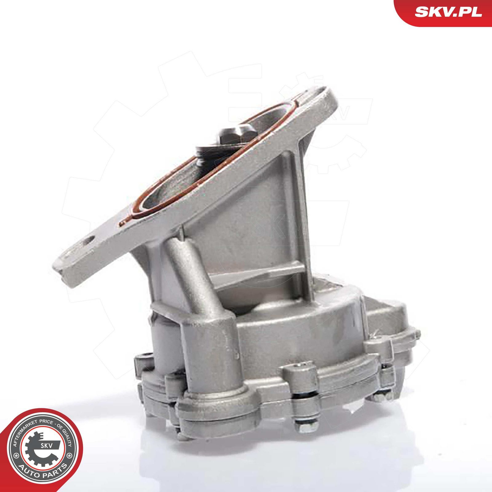 ESEN SKV 18SKV009 Vacuum pump, braking system