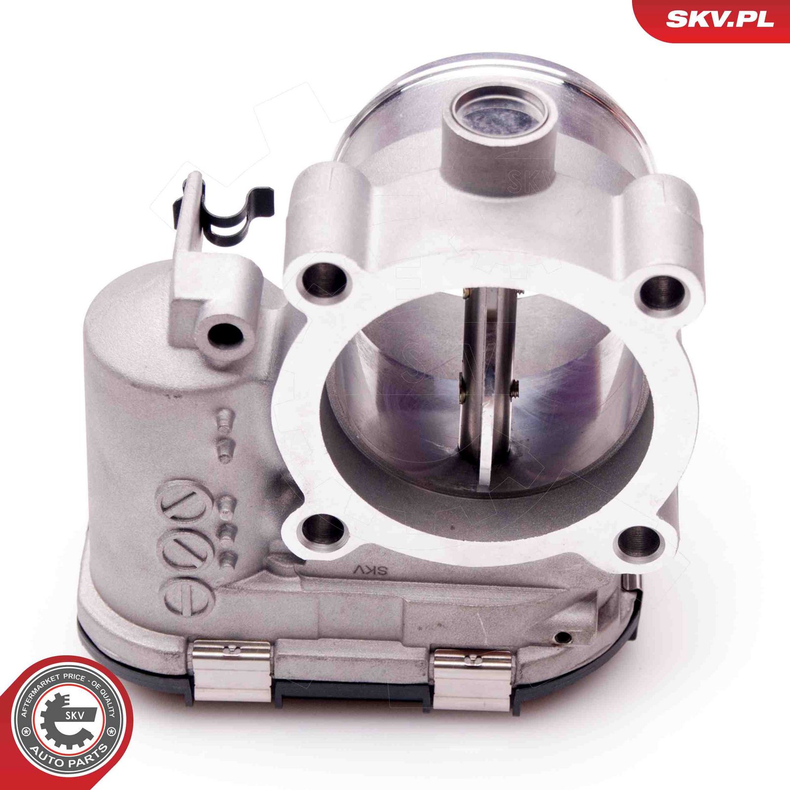 Throttle Body-1
