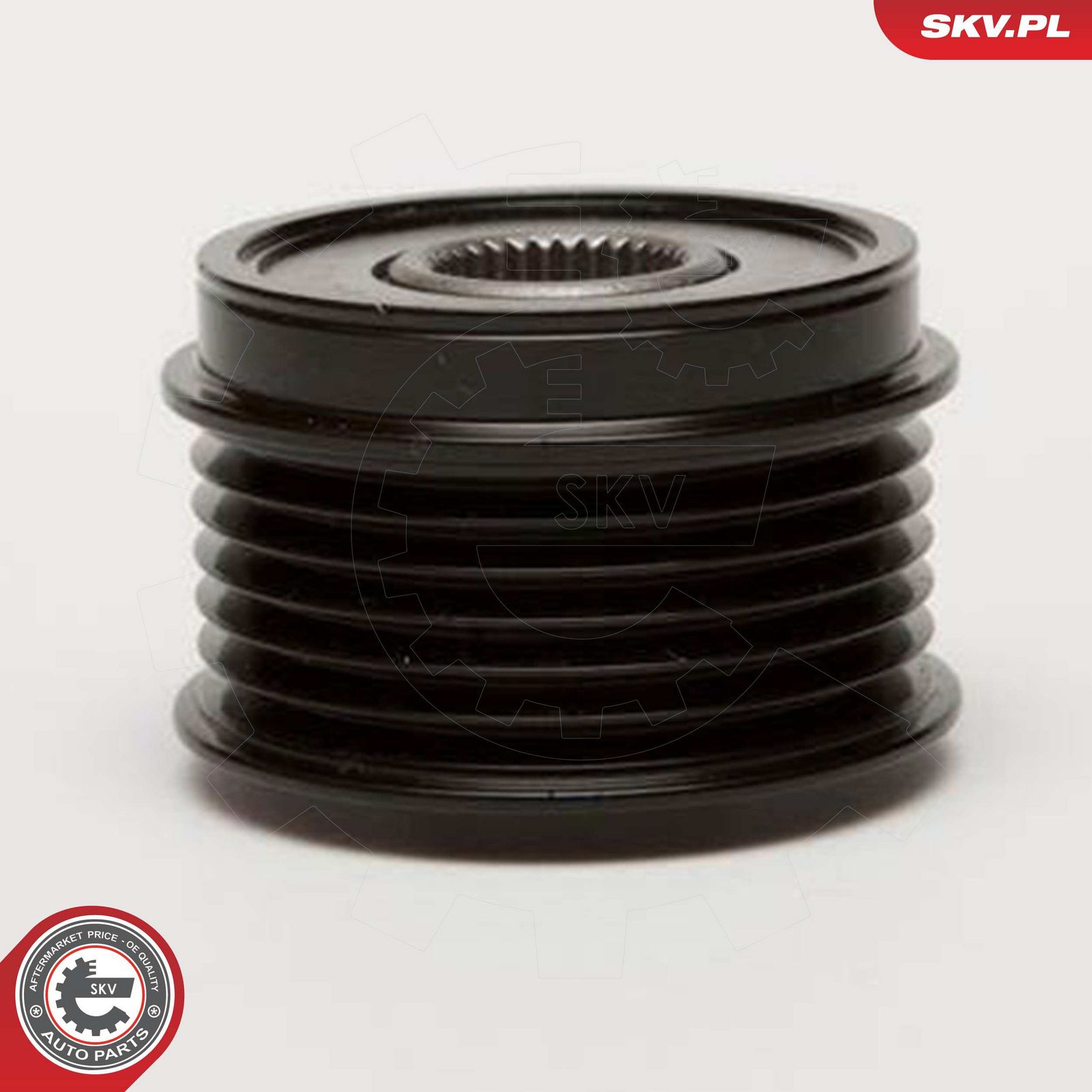 Alternator Freewheel Clutch-1