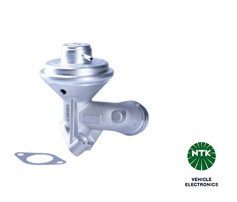 EGR Valve-1