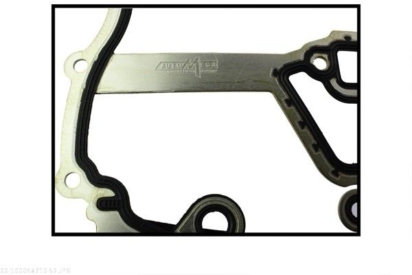 Gasket, timing case-2