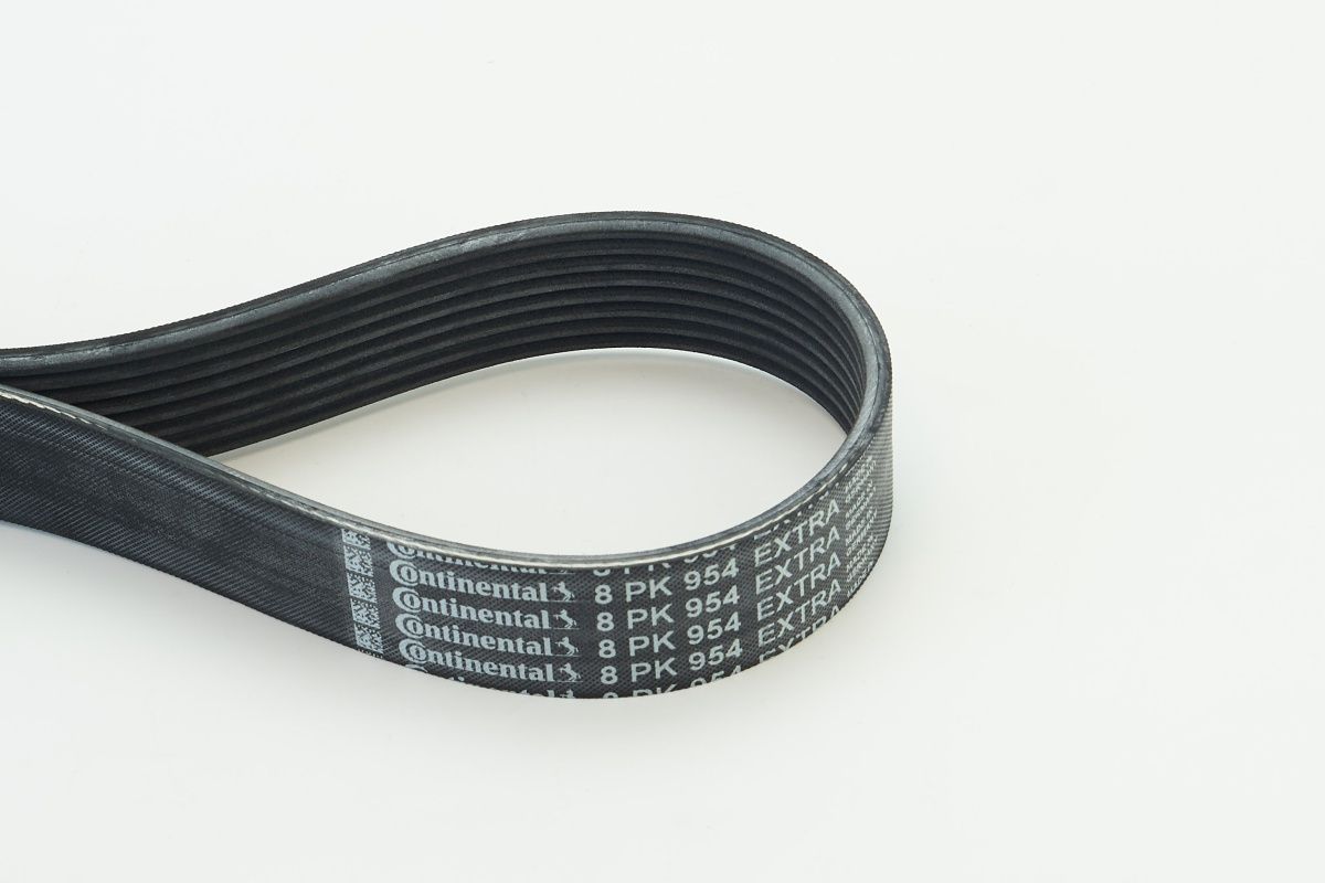 CONTINENTAL CTAM 8PK954 EXTRA V-ribbed belt