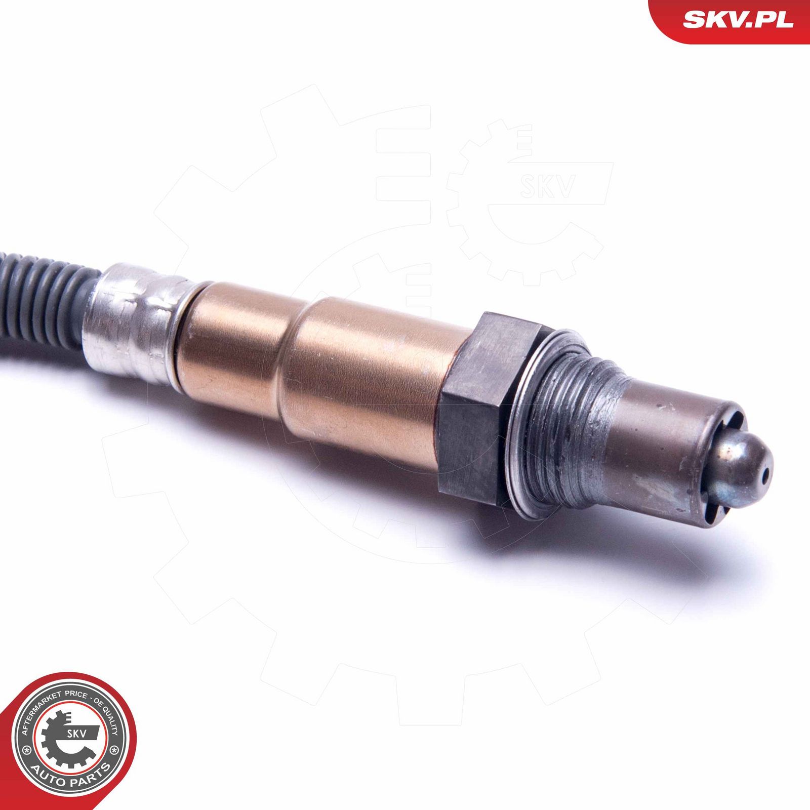 Oxygen Sensor-1