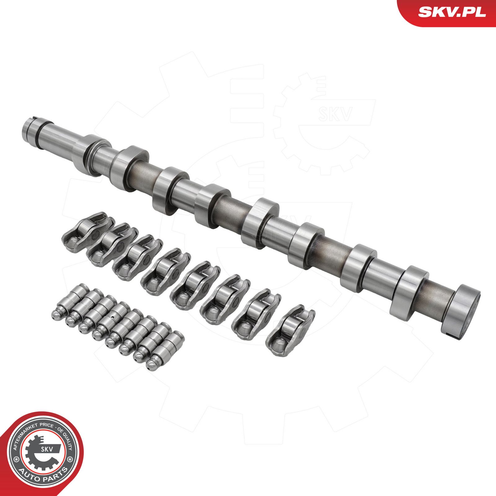 ESEN SKV 80SKV300 Camshaft kit
