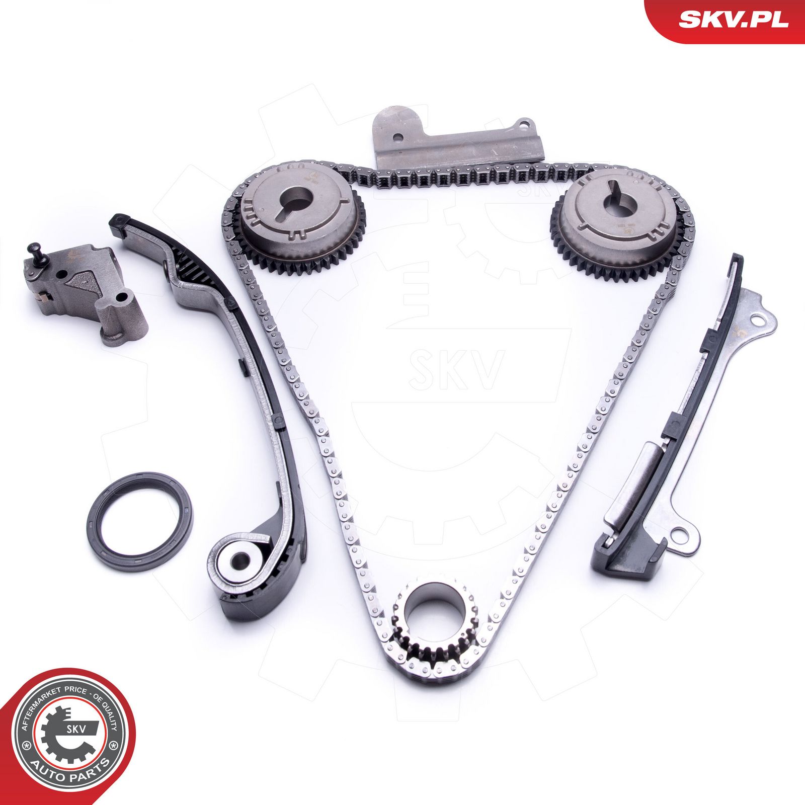 ESEN SKV 21SKV191 Timing chain kit