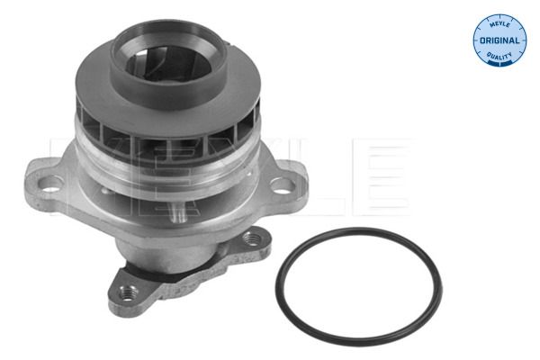 Water Pump, engine cooling-main