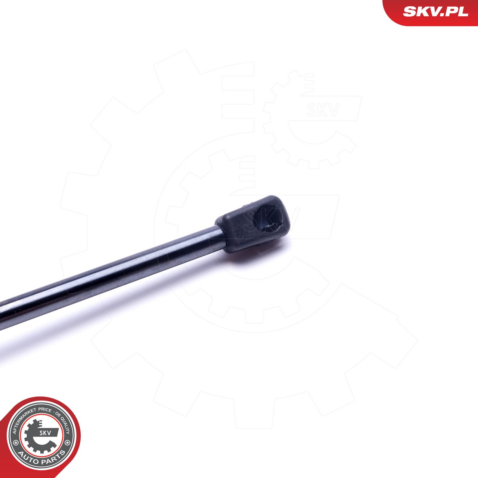 Gas Spring, bonnet-2