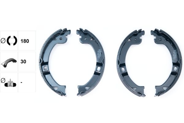 TEXTAR 91069600 Brake shoe set, parking brake