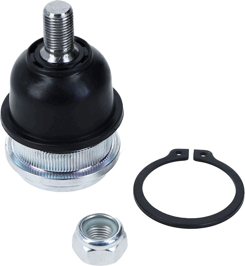 LEMFÖRDER 29666 02 Šarnyras / girgždukas