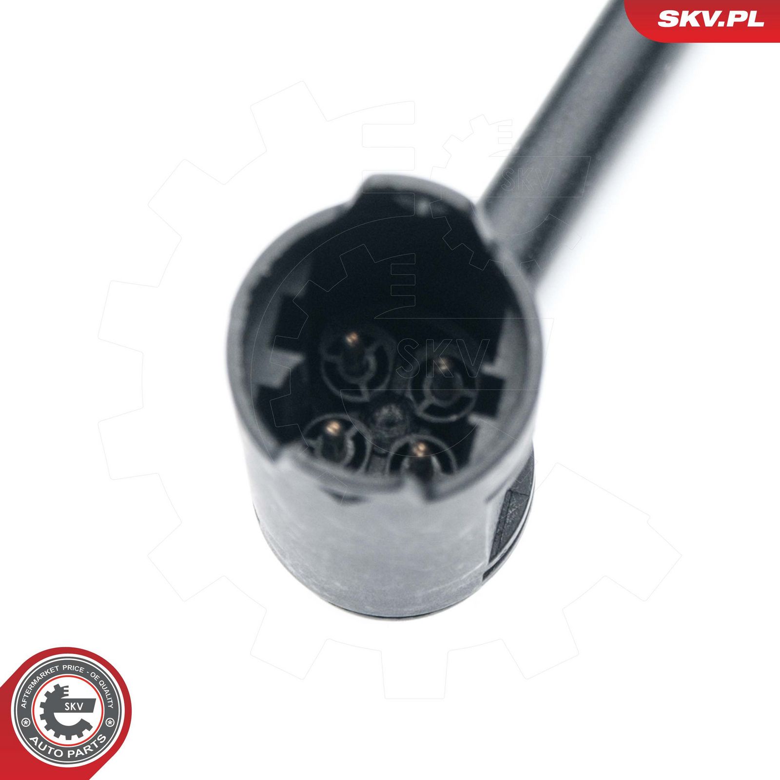 Oxygen Sensor-2