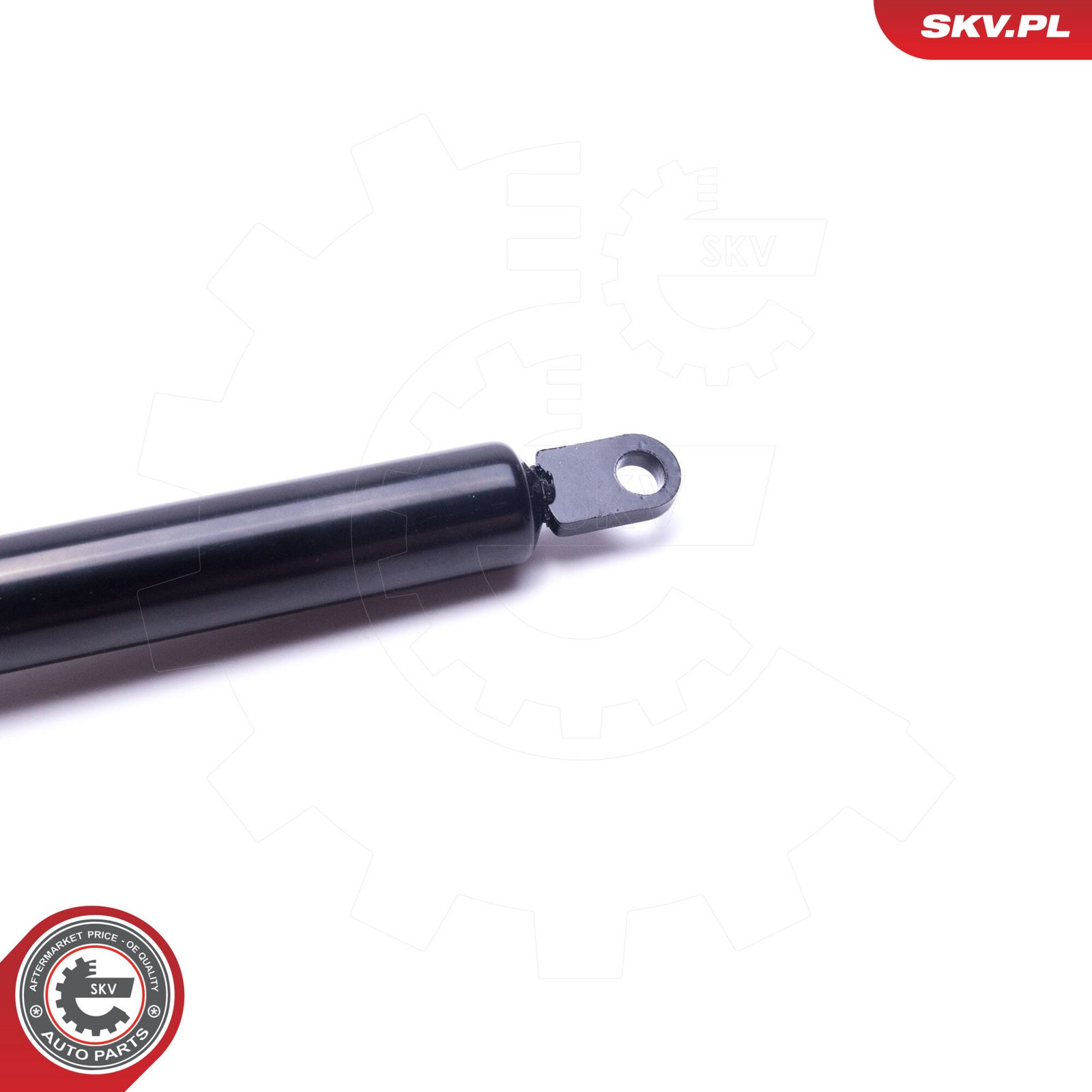 Gas Spring, bonnet-1